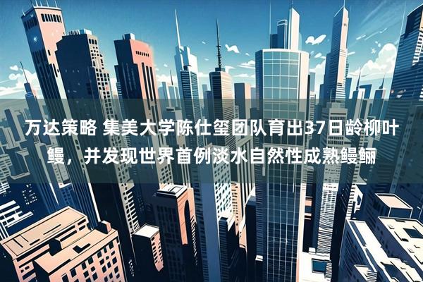 万达策略 集美大学陈仕玺团队育出37日龄柳叶鳗，并发现世界首例淡水自然性成熟鳗鲡